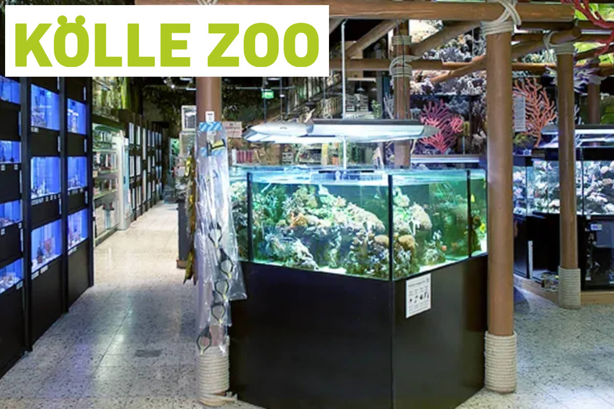 Kölle Zoo Frankfurt