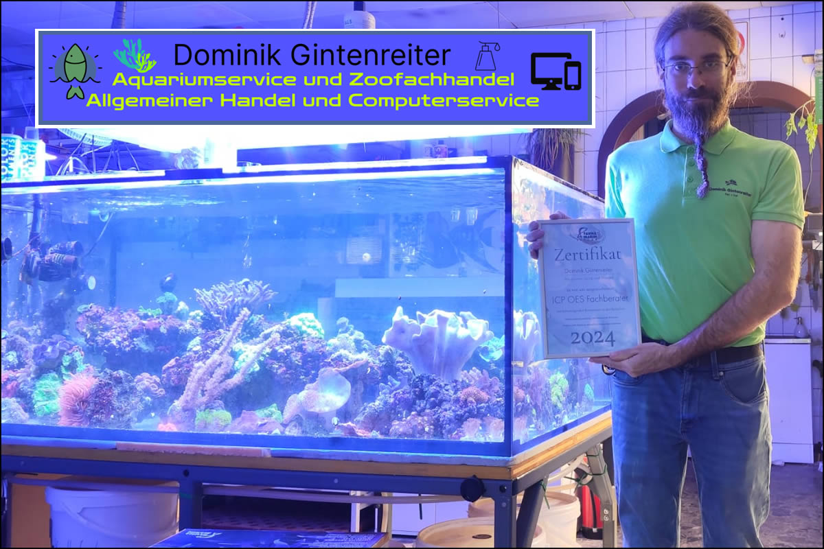 Aquariumservice und Handel